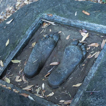 【横須賀】竹林に抱かれた現代美術の森「カスヤの森現代美術館」で庭園アートツアー